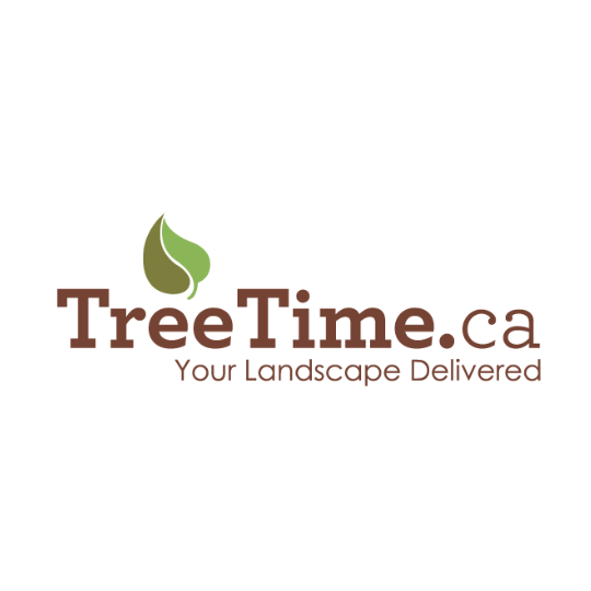 LTTM Gold Sponsor